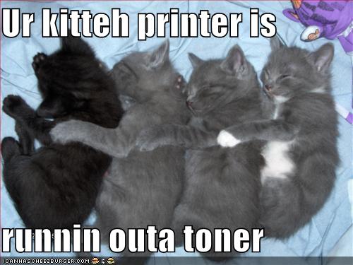 funny-pictures-kitten-printer.jpg